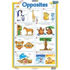 Marlin Kids Chart - Opposites - Image 1