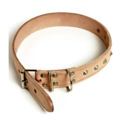 Dog Collar Leather Rivetted 22mmx500mm - Image 1