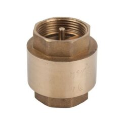 Torrenti Spring Loaded Brass Check Valve - 100mm - Image 1