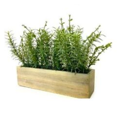 Rosemary/Myrtle 11” Wooden Box - Image 1