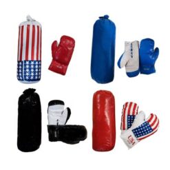 Boxing Training Set with Gloves - Parent - Image 1