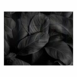 Parrot Products Feathers Hob Splashback (898 X 700 X 6mm) - Image 1