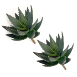 Toolhome Blossoms - Aloe Picks (Pack of 4 Stems) - 22cm - Image 1