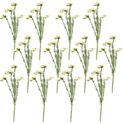 Toolhome Blossoms - Statice - Cream (Pack of 12 Stems) - 68cm - Image 1