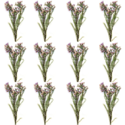 Toolhome Blossoms - Wax Flowers - Lilac (Pack of 12 Stems) - 78cm - Image 1