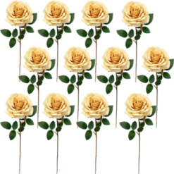 Toolhome Blossoms - Rose Full Bloom - Butter (Pack of 12) - 64cm - Image 1