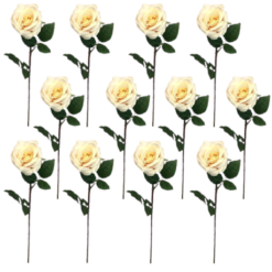 Toolhome Blossoms - Rose Olivia - Sea Shell (Pack of 12) - 63cm - Image 1