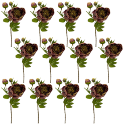 Toolhome Blossoms - Peony - Burgundy Green (Pack of 12 Stems) - 49cm - Image 1