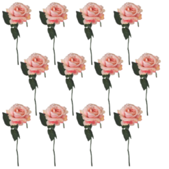 Toolhome Blossoms - Rose Georgia - Pink (Pack of 12 Stems) - 30cm - Image 1