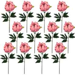 Toolhome Blossoms - Closed Peony - Dark Pink (Pack of 12 Stems) - 47cm - Image 1