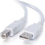 Mercer A006-USB USB Printer Cable