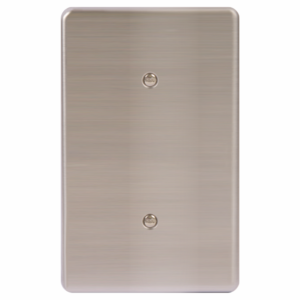 LESCO, 4×2 Blank Cover Stainless Steel