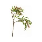 Toolhome Blossoms – Berry Spray Cream Pink – 73cm