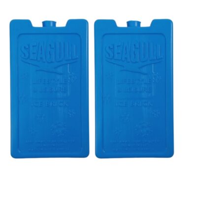 Seagull – Lifestyle & Leisure Ice Brick -Twin Pack